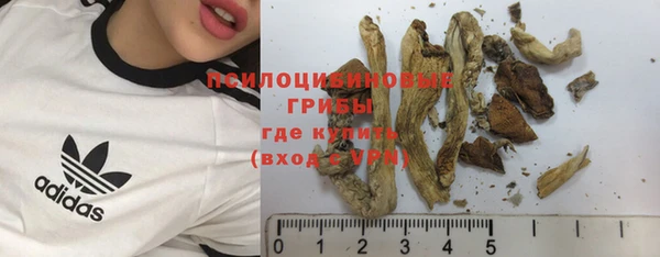 спиды Баксан