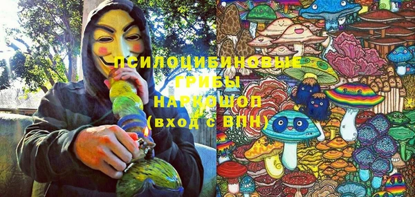 ПСИЛОЦИБИНОВЫЕ ГРИБЫ Беломорск