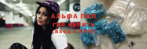 трава Балахна