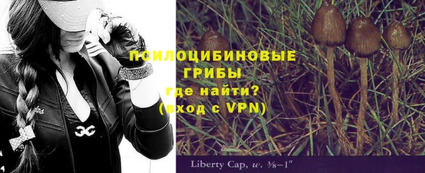 экстази Пестово