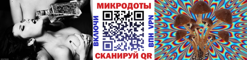 Псилоцибиновые грибы мухоморы  blacksprut онион  Ясногорск 